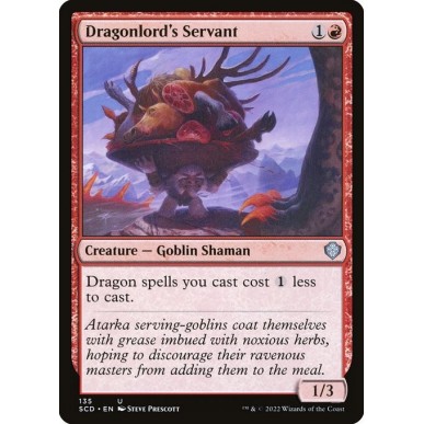 Dragonlord's Servant