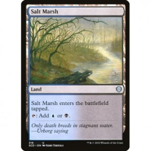 Salt Marsh