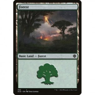 Forest