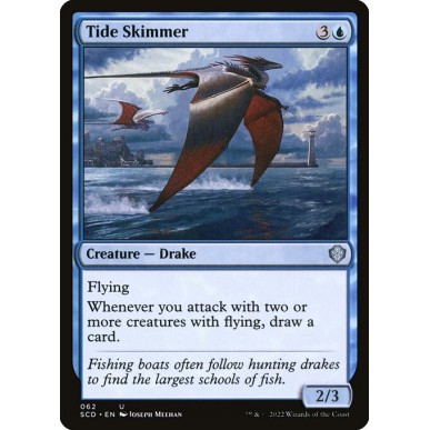 Tide Skimmer