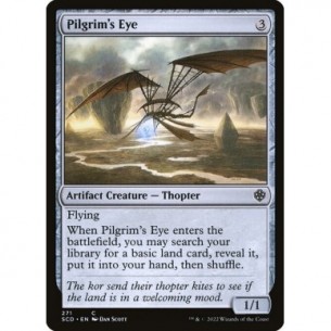 Pilgrim's Eye