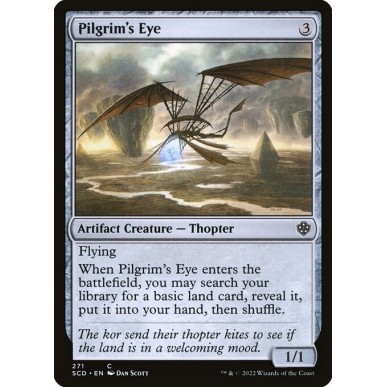 Pilgrim's Eye