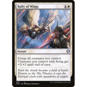 Rally of Wings