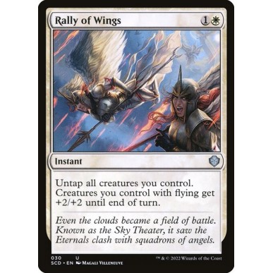 Rally of Wings