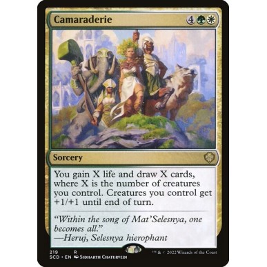Camaraderie