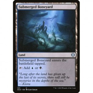 Submerged Boneyard