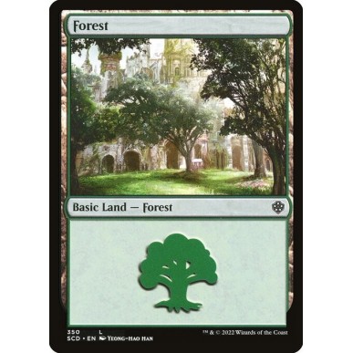 Forest