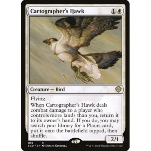 Cartographer's Hawk