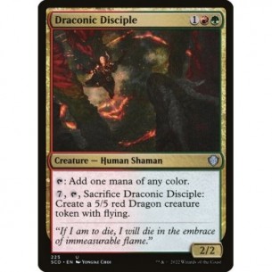 Draconic Disciple