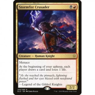 Stormfist Crusader