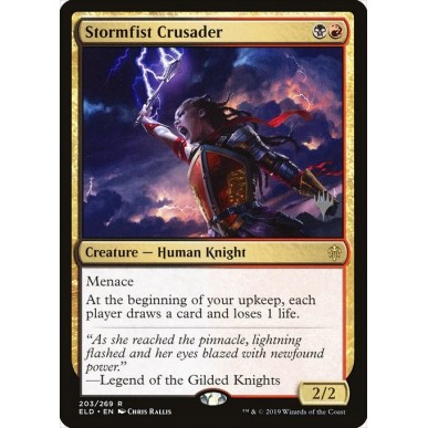Stormfist Crusader