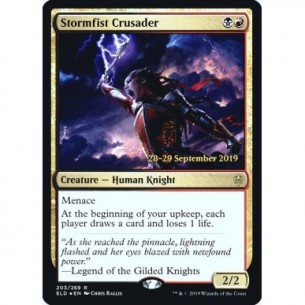Stormfist Crusader