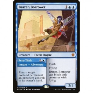 Brazen Borrower // Petty Theft