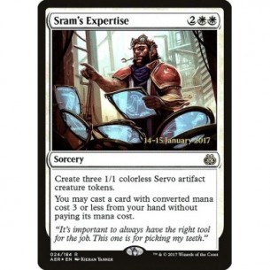 Sram's Expertise