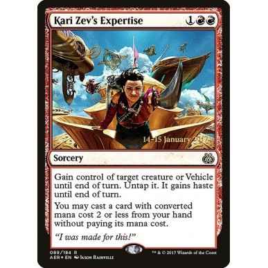 Kari Zev's Expertise