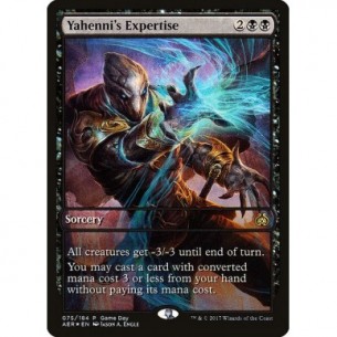 Yahenni's Expertise