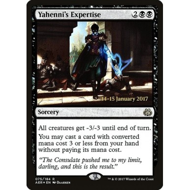 Yahenni's Expertise