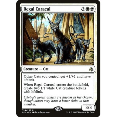Regal Caracal