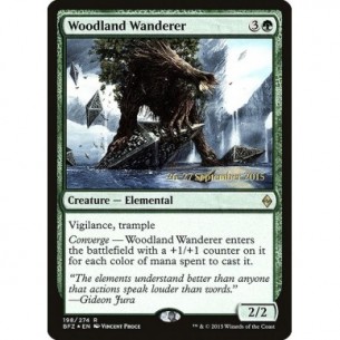 Woodland Wanderer