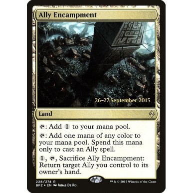 Ally Encampment