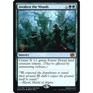 Awaken the Woods