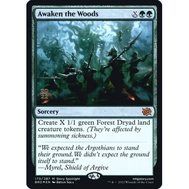 Awaken the Woods