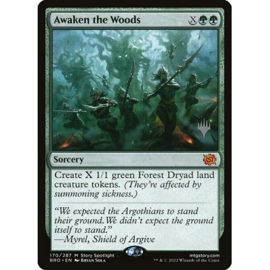 Awaken the Woods