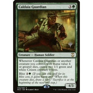 Caldaia Guardian