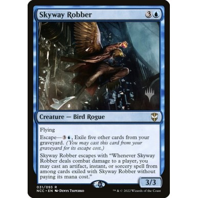 Skyway Robber