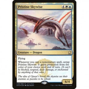 Pristine Skywise