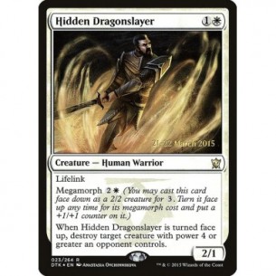 Hidden Dragonslayer