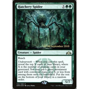 Hatchery Spider