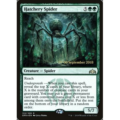 Hatchery Spider