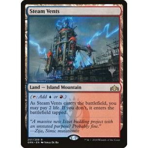 Steam Vents