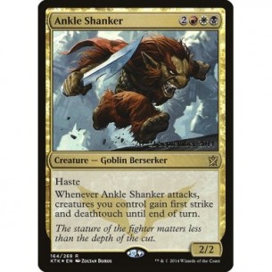Ankle Shanker