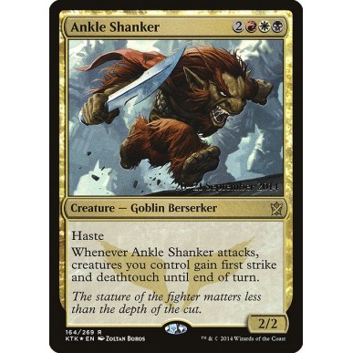 Ankle Shanker