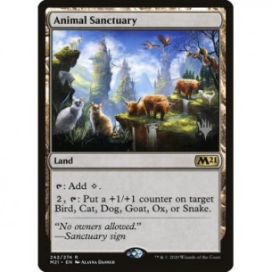 Animal Sanctuary