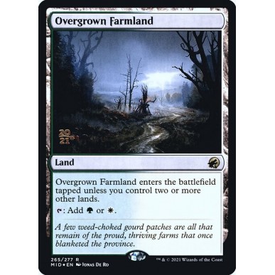 Overgrown Farmland
