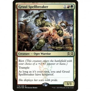 Gruul Spellbreaker