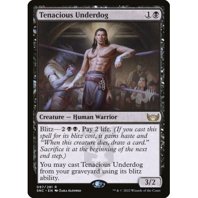 Tenacious Underdog