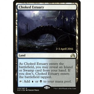 Choked Estuary