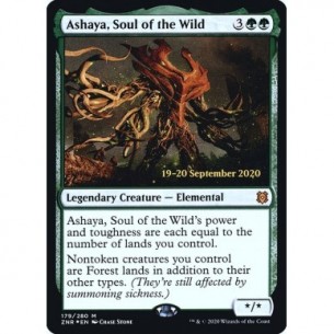 Ashaya, Soul of the Wild