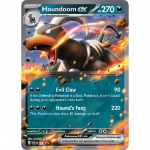 Houndoom ex