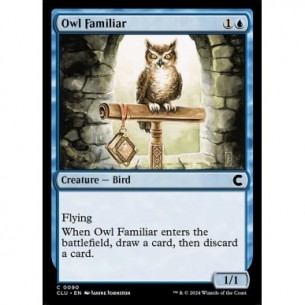 Owl Familiar