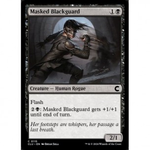 Masked Blackguard