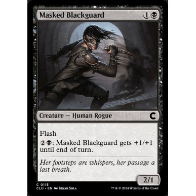 Masked Blackguard