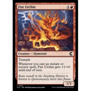 Fire Urchin