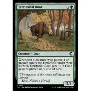 Territorial Boar