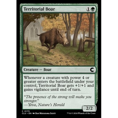 Territorial Boar
