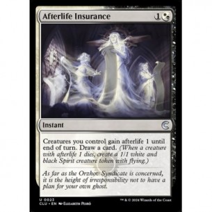Afterlife Insurance